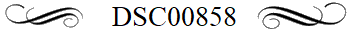 DSC00858