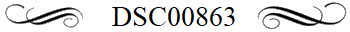 DSC00863
